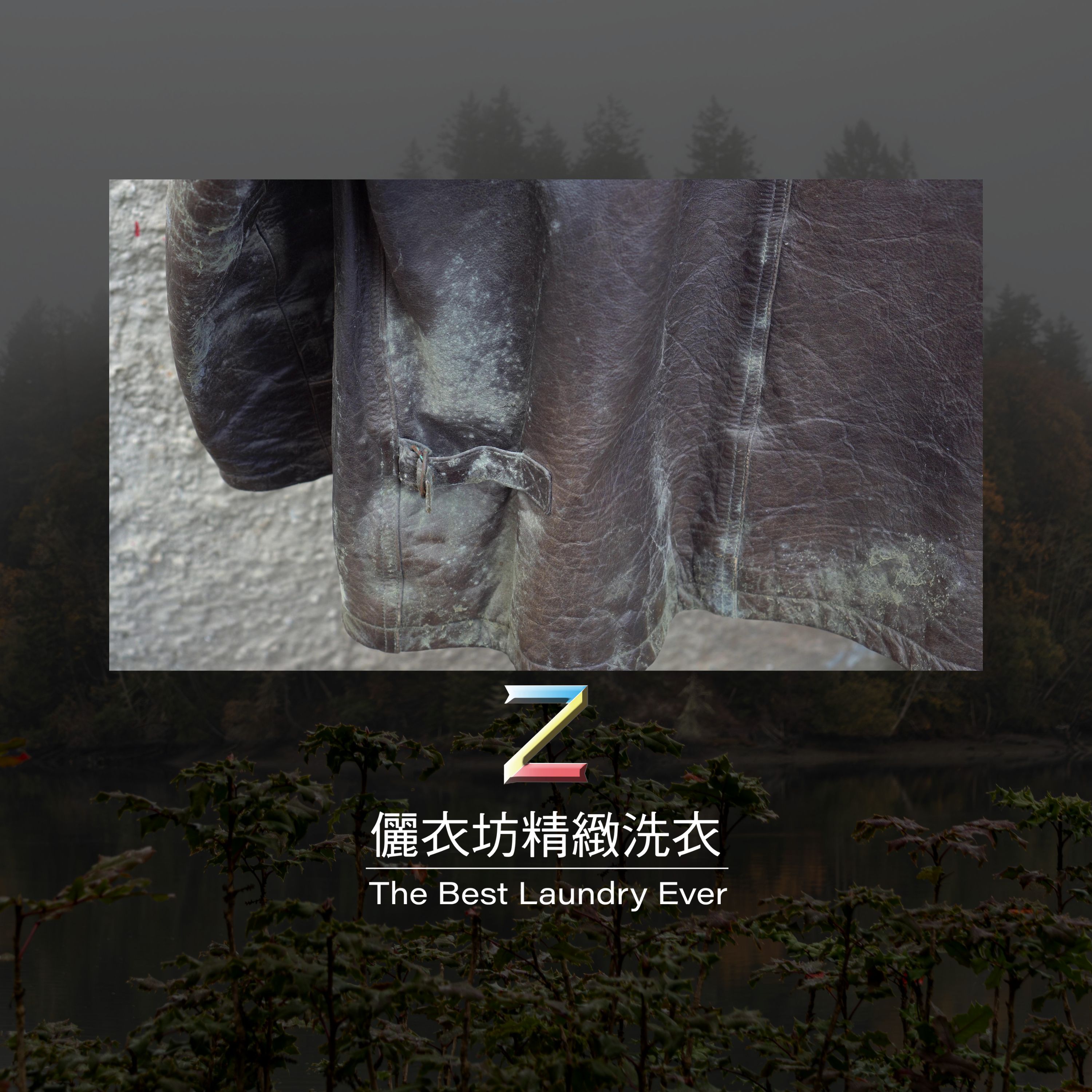 衣物發霉問題與處理須知｜專業台中洗衣 桃園洗衣 高雄洗衣